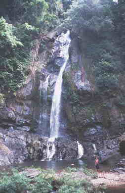 Wasserfall in Sri-Phangna Nationalpark